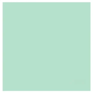 DDDDD theedoek Logo pastel green
