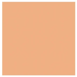 DDDDD theedoek Logo pastel peach