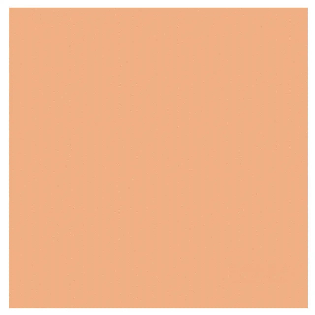 DDDDD theedoek Logo pastel peach